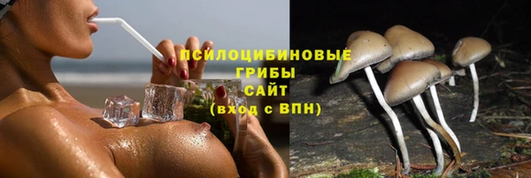 дживик Приозерск
