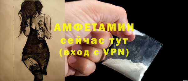 МДПВ Дмитриев