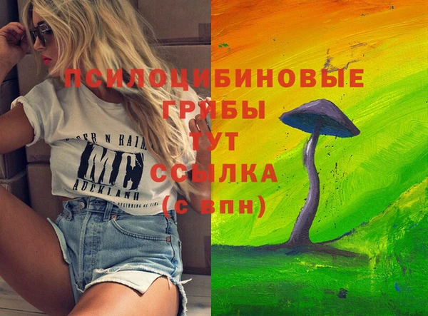 дживик Приозерск