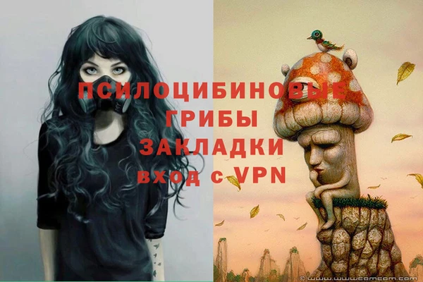 синтетический гашиш Протвино