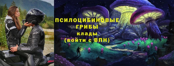 шишки Абдулино