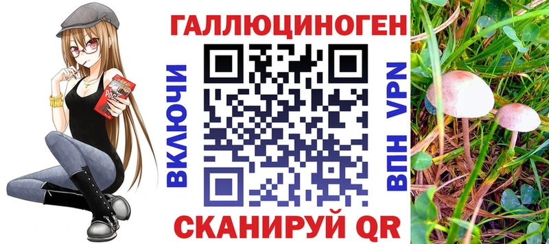 мориарти клад  Кировград  Псилоцибиновые грибы Psilocybe  закладки 