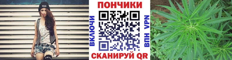Бошки марихуана план  Кировград 